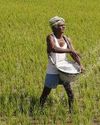 Chhattisgarh's first govt-led cold chain and irradiation facility to boost tribal incomes in Dantewada NF Times