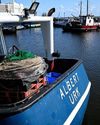 Dutch coastal village turns to tech to find lost fishermen NF Times