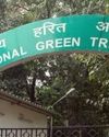 NGT orders lessee to pay Rs 25 lakh for illegal mining in Odisha NF Times