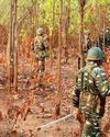 Maoist killed in gunfight with security forces in Jharkhand's Chaibasa NF Times