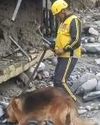 Uttarakhand rains: Jawan's body recovered 13 Days after Dharali disaster; 66 still missing NF Times