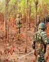 16 Naxalites surrender in Chhattisgarh's Narayanpur citing exploitation, ‘hollow’ ideology NF Times