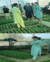 DC Kupwara visits Deedikoot, lauds innovative farmer The Global Kashmir