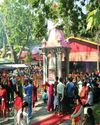 The Global Kashmir