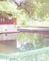 After 4 decades, KPs return to Wasak Nag Temple in Chadoora The Global Kashmir