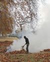 The Global Kashmir