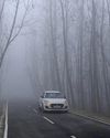 The Global Kashmir