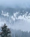 The Global Kashmir