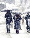 The Global Kashmir