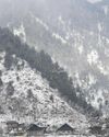 The Global Kashmir
