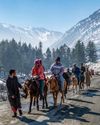 The Global Kashmir