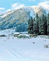 The Global Kashmir