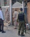 The Global Kashmir