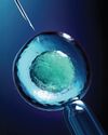 America's Best FERTILITY CLINICS and MATERNITY HOSPITALS 2025 America's Best FERTILITY CLINICS and MATERNITY HOSPITALS 2025