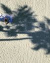 Southland remains set on 'broil' Los Angeles Times