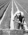 Rich farm region becomes a deadly hot spot for workers Los Angeles Times