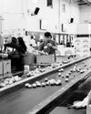 USDA MUST FUND SNAP Los Angeles Times