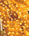 Holiday rainstorm may pose dangers1