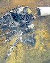 Pilots whose helicopters collided were pals15