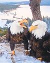 A SOARING LOVE STORY IN BIG BEAR20
