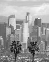 How to build a more beautiful L.A.30