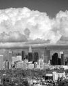 Los Angeles Times