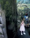 L.A. Zoo needs to evolve, grand jury says L.A. Zoo needs to evolve, grand jury says5