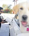 Prices likely to stay high after U.S.-Iran deal Prices likely to stay high after U.S.-Iran deal24