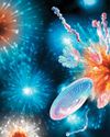 Scientific American