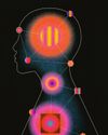 Signals from Within14