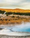 Scientific American