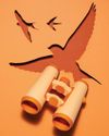 Scientific American