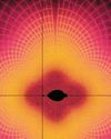 Scientific American