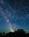 Scientific American