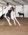 Abhishek Navale, Arjun Bisht Advance In Tent Pegging14