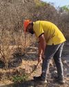 Forest Fire in Ramdara Hills Devastates Trees and Wildlife10