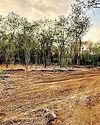 Vetal Tekdi turned into ‘bulldozer zone’? Vetal Tekdi turned into ‘bulldozer zone’?5