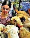 Stray Dogs Did Not Create This Issue, Humans Did Stray Dogs Did Not Create This Issue, Humans Did15
