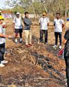 Vetal Tekdi tree removal sparks green debate29
