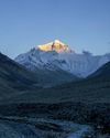 Robb Report India