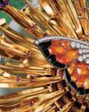 Robb Report India