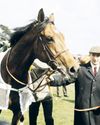 ECLIPSE WAS SIRE OF ALL OUR STARS