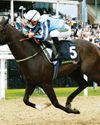 PITTING OUR WITS AGAINST BOOKIES