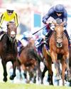 RECENT WINNERS TAKE ALL IN OAKS