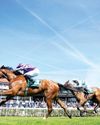 HAUK TO SWOOP ON OAKS PRIZES
