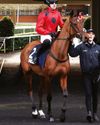 SUPER HOPE WILL NOT BEE RUSHED Racing Ahead