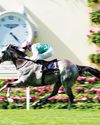 FIELD IS OPEN FOR GOSDENS Racing Ahead