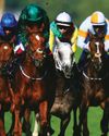 FRENCH AIMS TO SEE OFF RAIDERS Racing Ahead