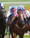 GALLOPS BACK INTO THE FRAY Racing Ahead