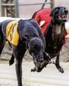 Racing Ahead